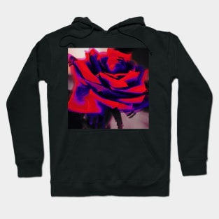 Vintage Rose 026 Hoodie